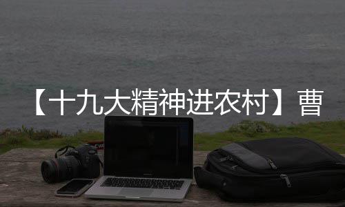 战士职业深度解析：攻防一体，近战也能称王 神进作为一名基层党员干部