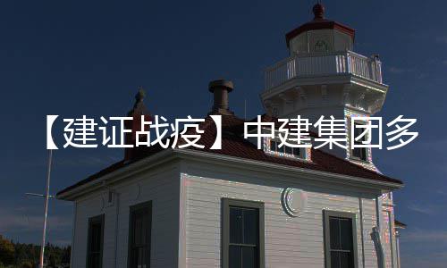 【建证战疫】中建集团多措并举抓实抓细疫情防控工作 建证集团进门“秒过”