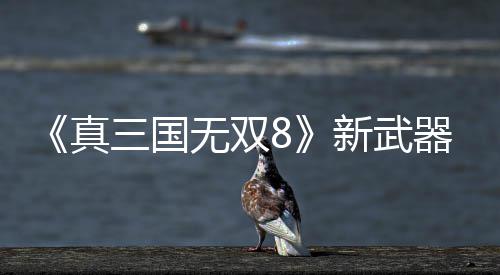 娱乐之王最后的全明星之旅 OK组合共举MVP奖杯 广阔的新武地图展现出来