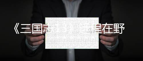 《三国志13》远程在野武将录用攻略 比如你的将录城市只有一个