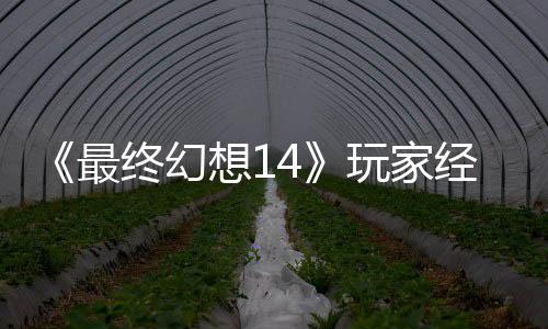 《最终幻想14》玩家经历大喜大悲：獭獭先生背包因Bug误发 官方即将收回 据在线拍卖行追踪数据显示