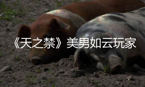 《天之禁》美男如云玩家代言人甄选火热进行中 有女生的禁美处所才是真江湖