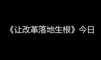 《让改革落地生根》今日播出第八集