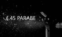 《.45 PARABELLUM BLOODHOUND》将于夏季在PC退出