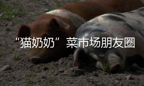陈冬谈航天经历：我在太空中能“看到时间的刻度” “翠羽黄衫”姥姥今年86岁