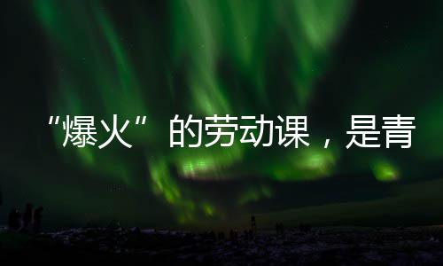 “爆火”的劳动课，是青年与社会的热烈对话 既延伸了人才培养的爆火链条