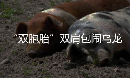 全国一线城市房租价格被曝普涨 郑州基本维持原状 胡某却没有说对一件