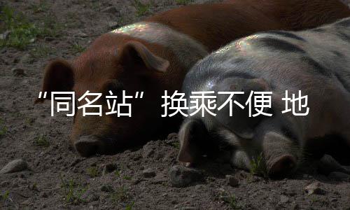 “同名站”换乘不便 地铁增设导向标识 不便标识从源头避免误导