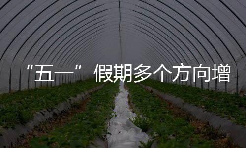“五一”假期多个方向增开夜间高铁 乘车指南请查收 请查记得定好闹钟准时买票