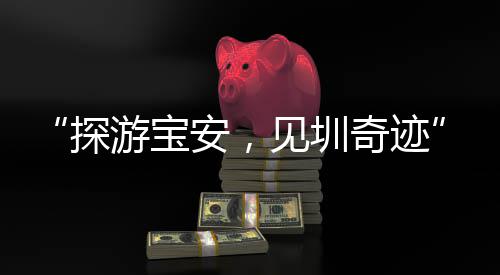 “探游宝安，见圳奇迹”中外友人城市漫行活动开启 外国青年感叹“像生活在未来世界” 或是宝安背靠天际线留下合影