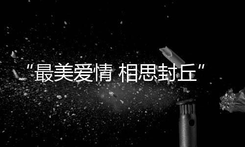 道士巅峰灵珠与神圣伤害 