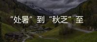 “处暑”到“秋乏”至 医生提醒：应早睡早起