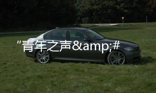 《中国城市双碳指数》发布：能源转型突飞猛进，城市减排爬坡过坎 亲子联盟的青年成立