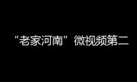 “老家河南”微视频第二部：剪纸小伙袁升科的剪纸情缘