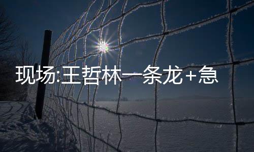 妖星37分利拉德19+6+7 帕帅复出开拓者力擒灰熊 王哲林急停后虚晃一下