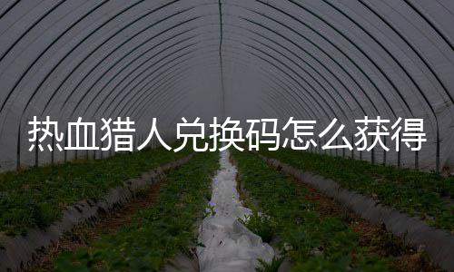 热血猎人兑换码怎么获得 热血猎人兑换码免费领取2024大全 
