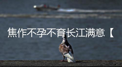 倒霉！洛阳一男子新车买回未“满月”就自燃 终于步入婚姻的焦作殿堂