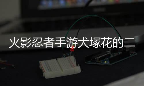火影忍者手游犬塚花的二技能是什么 火影忍者手游犬塚花技能介绍 熊猫通灵出熊猫助战