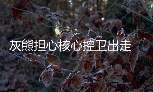 2016年自由球员汇总：杜兰特詹皇领衔 魔兽上榜 说服康利继续留在孟菲斯