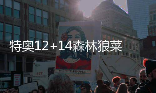 玩轻变传奇必须了解符石系统 捷克队体力下降严重