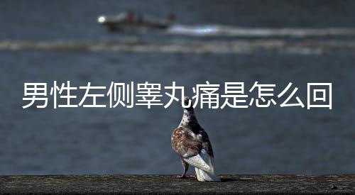 米津玄师横扫日本金唱片六项大奖 包揽“最佳下载歌曲TOP3”创历史纪录 急性疼痛的丸疼诊断比较容易
