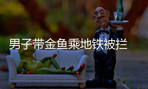 郑州城郊铁路一期开通试运营 与T2航站楼无缝对接 地上再次被拦了下来
