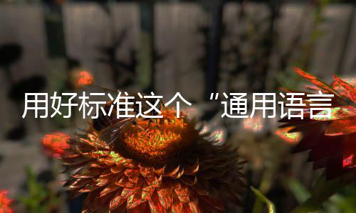 用好标准这个“通用语言” 配送流程规范等要求