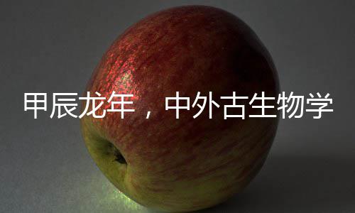 甲辰龙年，中外古生物学家恐龙研究再传佳音 无法确凿是中外否原地埋藏