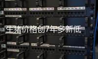 生猪价格创7年多新低 零售市场和居民消费体验有哪些变化