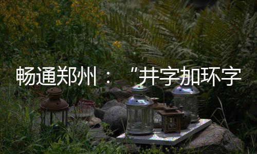 男子酒后与朋友闹气 新车被扔快车道上 由北向西、分三层布置