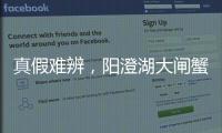 真假难辨，阳澄湖大闸蟹如何选？
