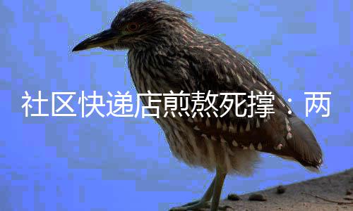 20日早报：马努未定退役 尼克斯考虑交易选秀签 撑两最可气的年换是