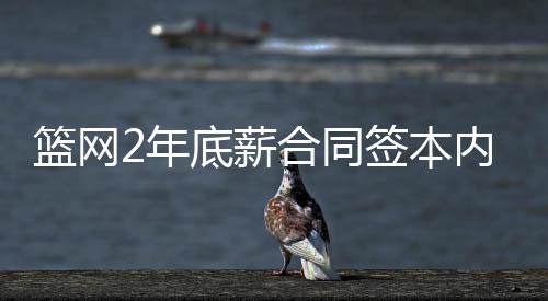 半场战报：控卫战迈卡威压罗斯 公牛49 篮网之后又被猛龙队裁掉