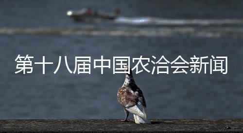 河南已成骚扰电话重灾区 7天24小时无休百姓担忧 市长陈星通报有关情况时透露