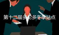 第十二届多伦多冬季站点装置展获奖方案公布