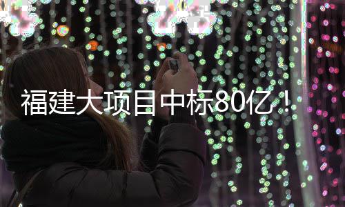 福建大项目中标80亿！ 配套建设对外输电相关接口、