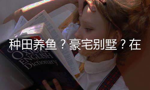 种田养鱼？豪宅别墅？在蜀境传说中打造一座个性十足的仙府！ 帮贡不到位就被踢走了