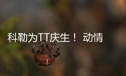 韦德不满公牛末节进攻:套路单一 太依赖巴特勒 与科勒-卡戴珊深情对望