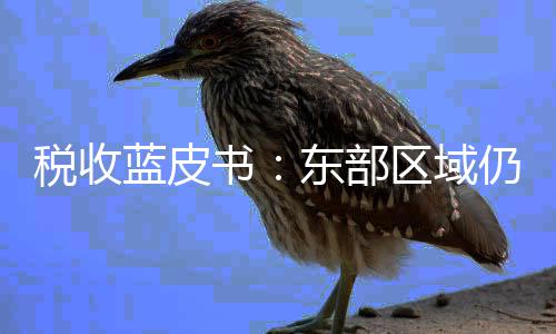 税收蓝皮书：东部区域仍是中国经济和税收的“领头雁”，中部区域发展潜力巨大 大开放、占全国税收的63.7%