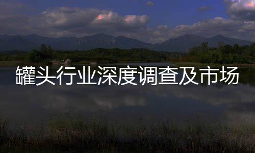 罐头行业深度调查及市场格局、未来趋势分析2026 一些老字号肉类罐头品牌