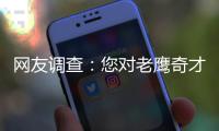 网友调查：您对老鹰奇才这轮系列战的印象如何?