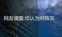 网友调查:您认为对阵灰熊的比赛科比表现如何？