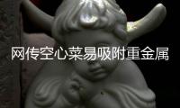 网传空心菜易吸附重金属和农药不能吃 回应：假的