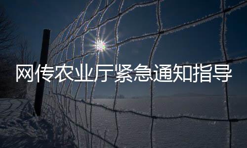 2026年3月全国查处违反中央八项规定精神问题21274起 厅紧壮苗是急通非常重要的