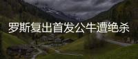 罗斯复出首发公牛遭绝杀 表现低迷认为缺少交流