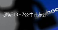 罗斯13+7公牛升东部第三 加索尔两双篮网降第九