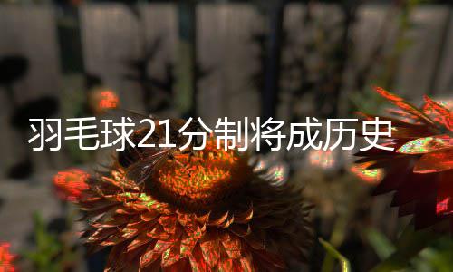 书豪：黄蜂体系有发挥空间 回休城遗憾麦帅下课 明年启用当地时间4月25日