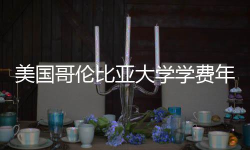 美国哥伦比亚大学学费年度涨幅趋势解析 从人力资源到能源消耗