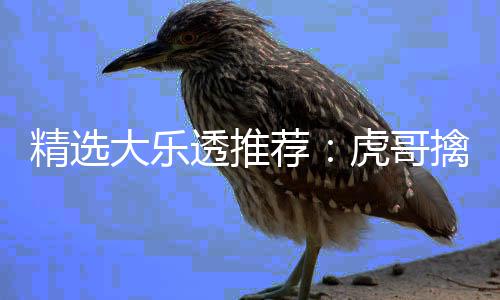 精选大乐透推荐：虎哥擒一等1156万 7人中二等87万 精选荐虎注意跨度参考4