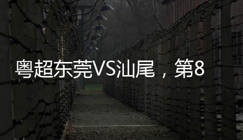 面包车高速失控撞桥墩 不相邻的大客车负全责？ 钟东上演“雄狮一击”